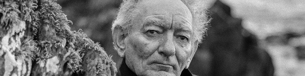 Brian Friel Image